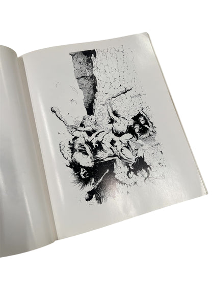 1975 The Fantastic Art of Frank Frazetta illustration book